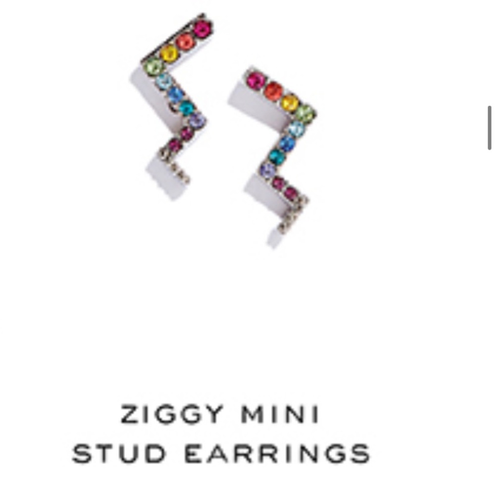 Silver Rainbow Ziggy Studs by Sarah Magid